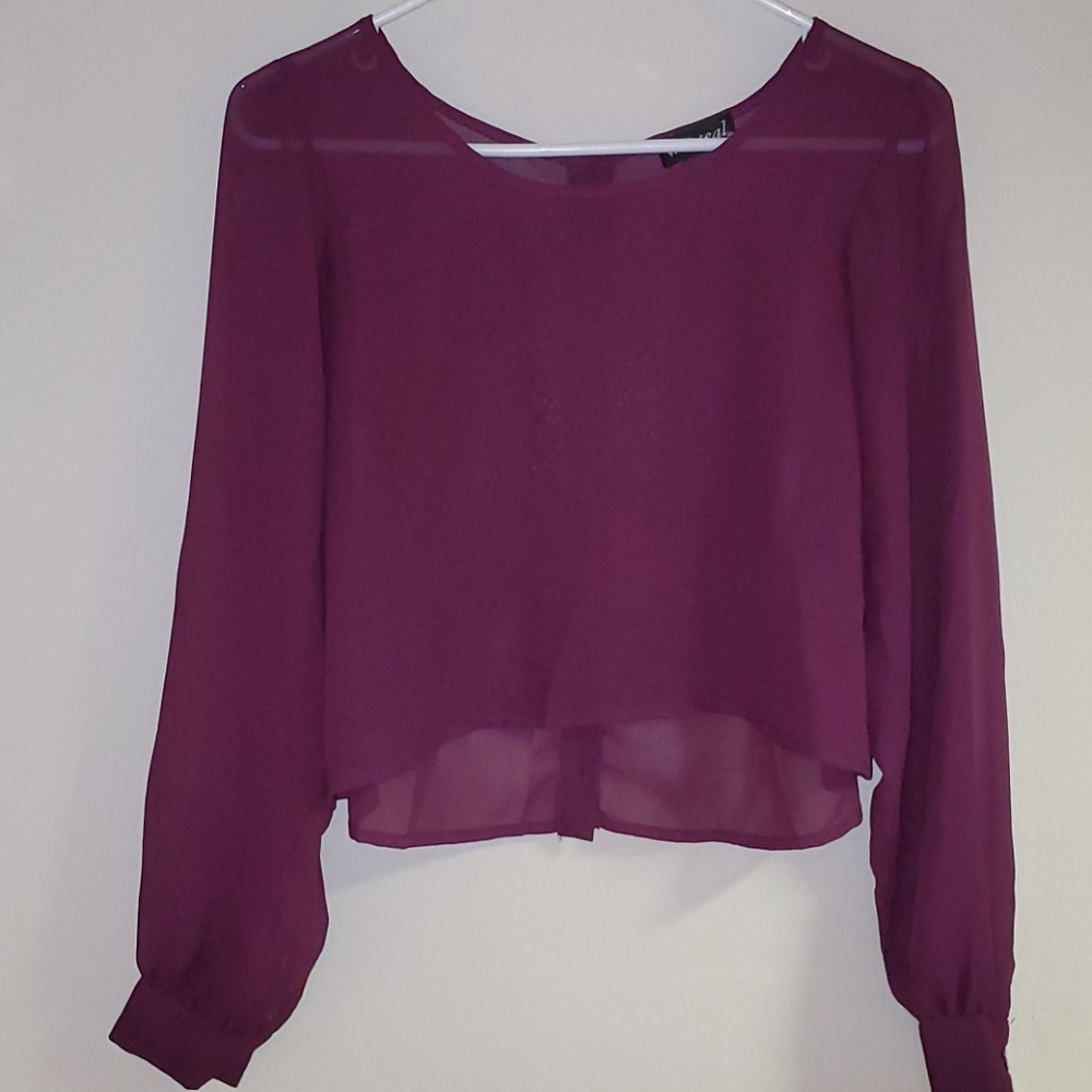 Wet seal Sheer crop top in People